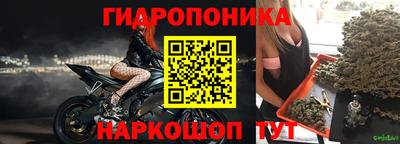 крисы Коммунар