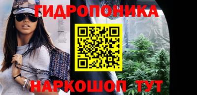 крисы Коммунар