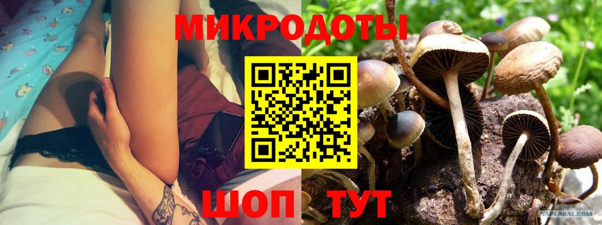 цена   Вход с VPN  Качканар  Галлюциногенные грибы мицелий 