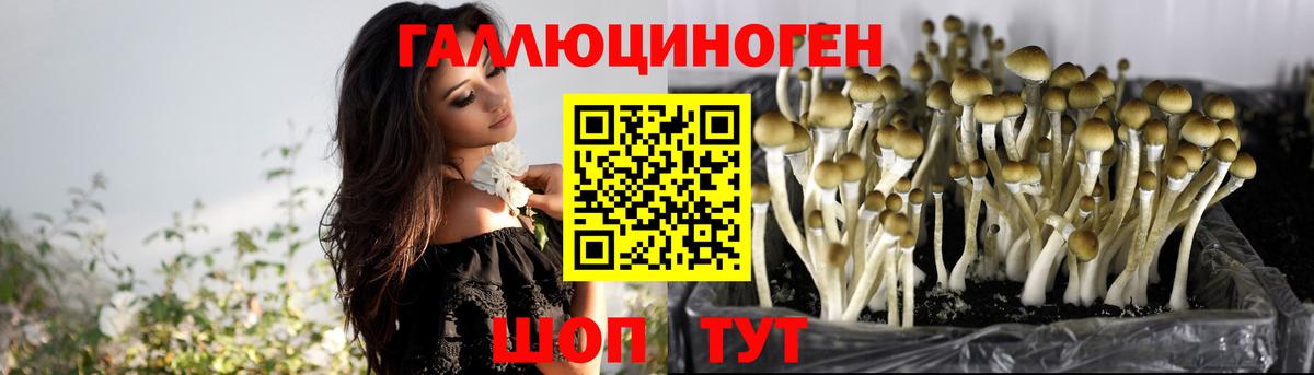 Псилоцибиновые грибы Magic Shrooms Качканар